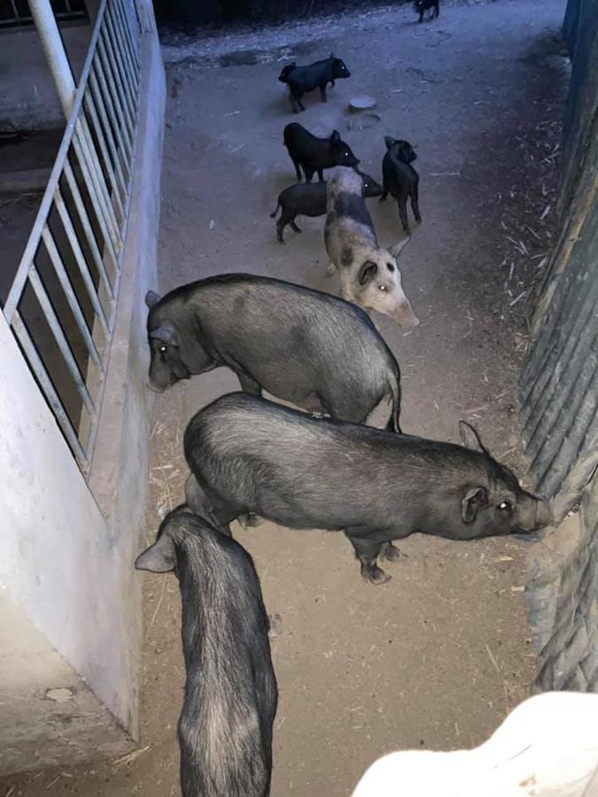 Ataalaya Farm stay