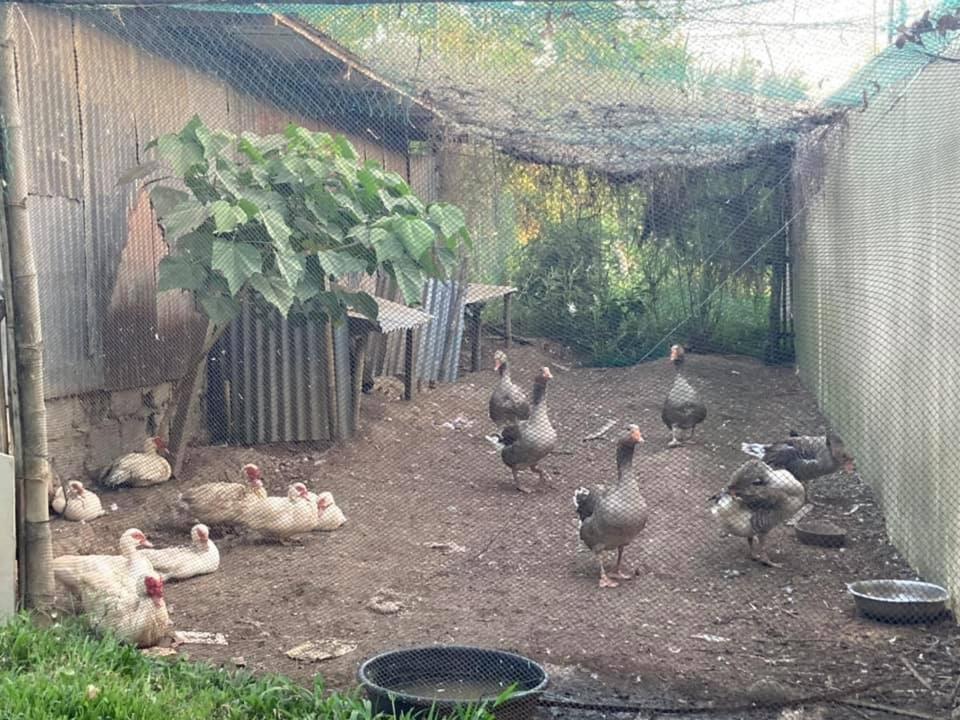 Ataalaya Farm stay