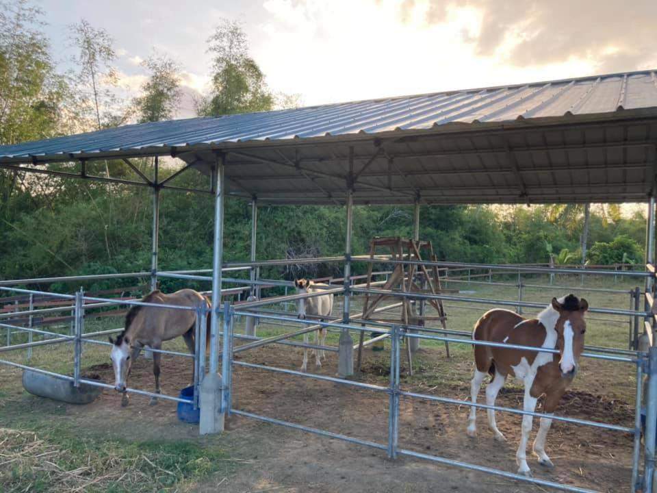 Farm stay Ataalaya *