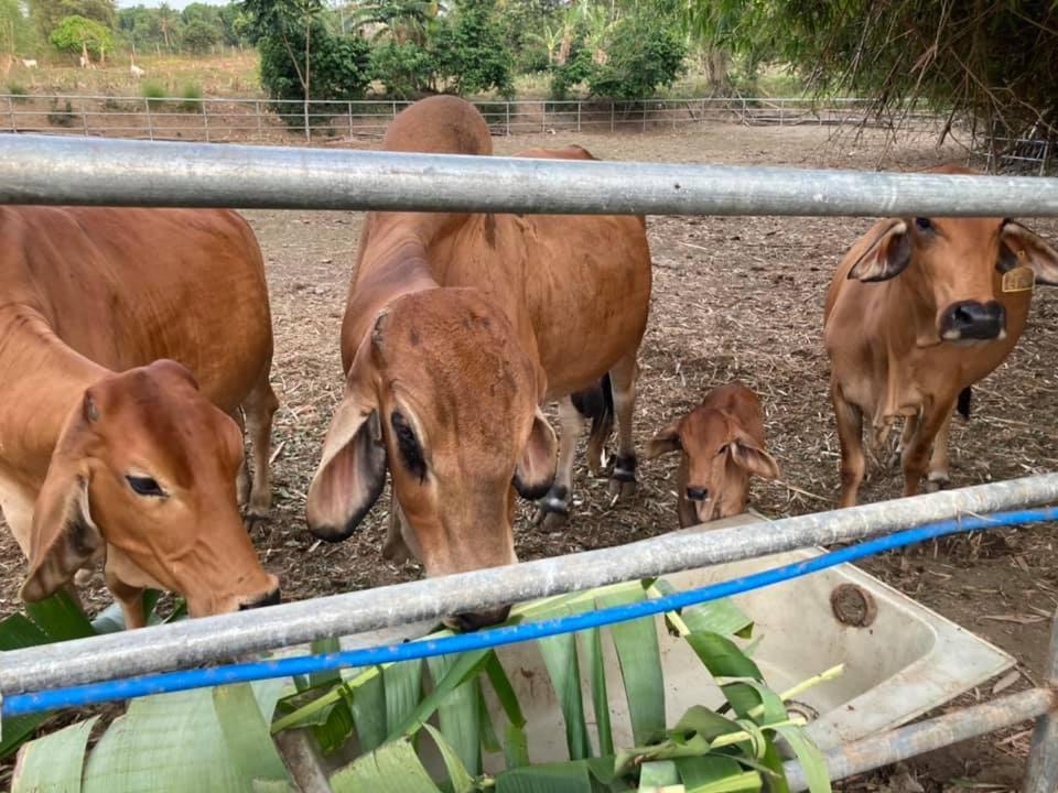 Farm stay Ataalaya *